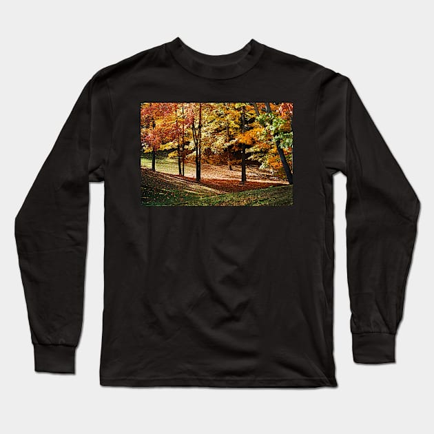 Autumn Leaves Long Sleeve T-Shirt by LaurieMinor